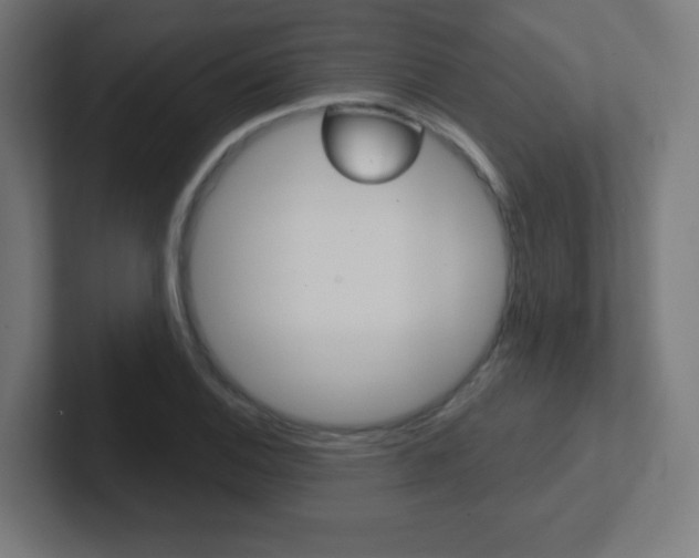 X0000102411124200808011010