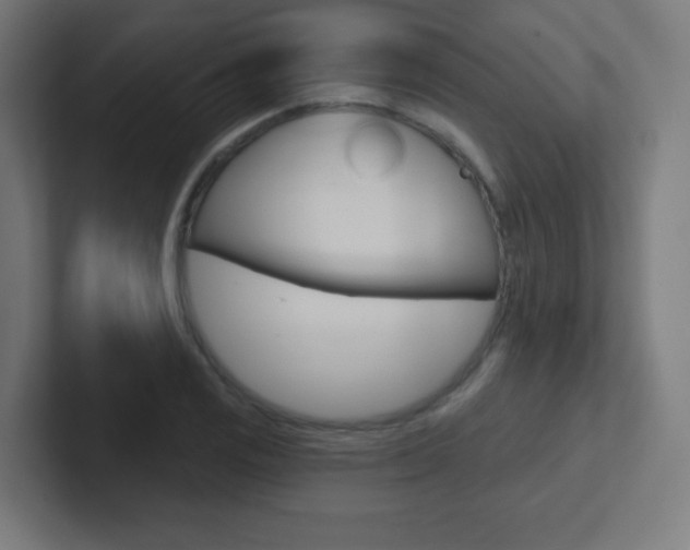 X0000102411125200808011010