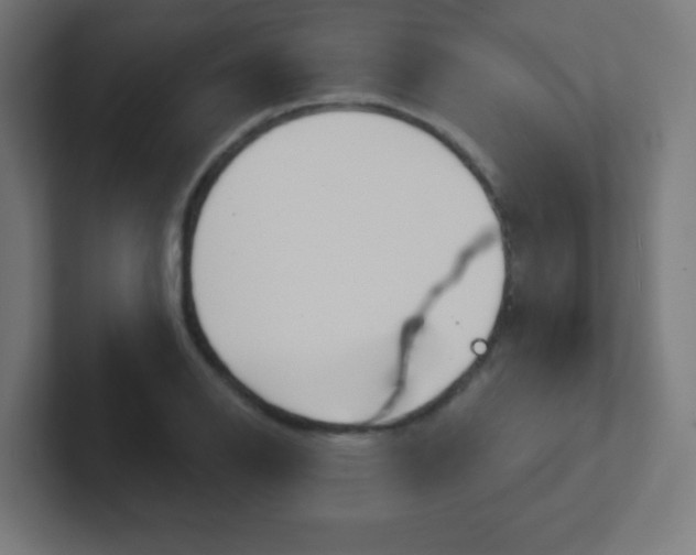 X0000102411126200808011010