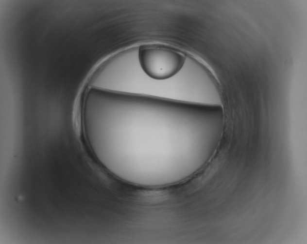 X0000102411127200808011010