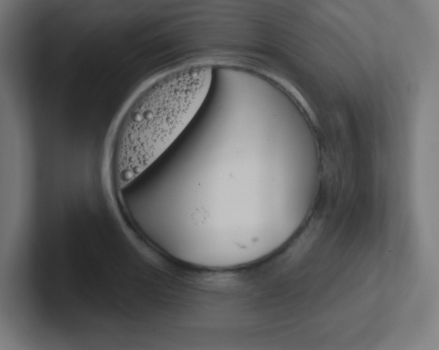 X0000102411131200808011011