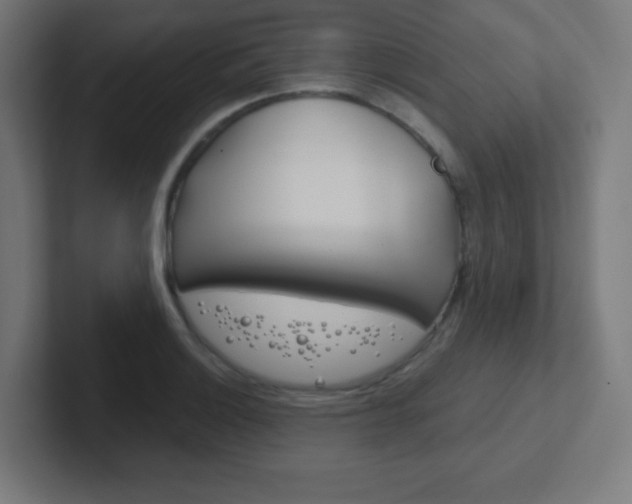 X0000102411132200808011011