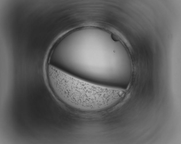 X0000102411133200808011011