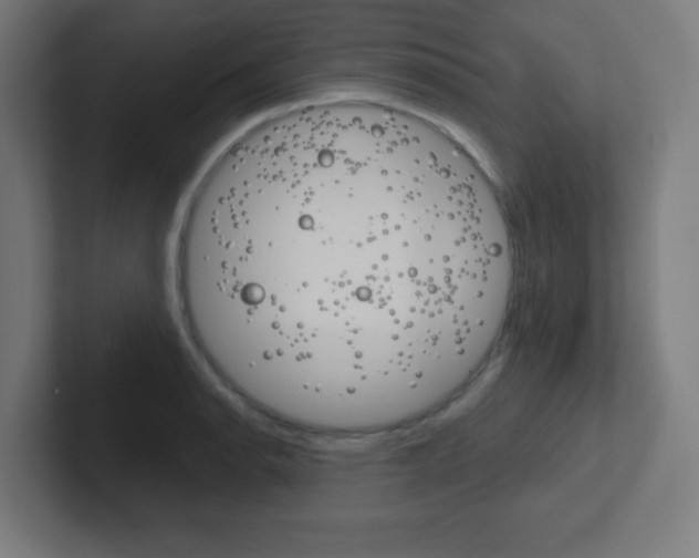 X0000102411134200808011011