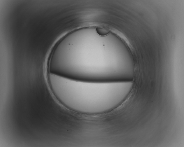 X0000102411135200808011011