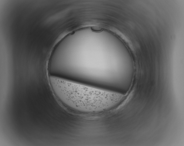 X0000102411137200808011011