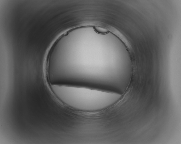 X0000102411140200808011011