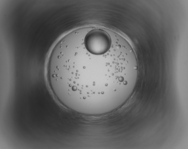 X0000102411144200808011011
