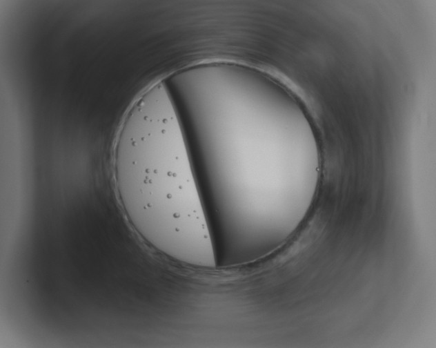 X0000102411145200808011011