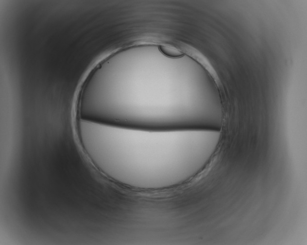 X0000102411146200808011011