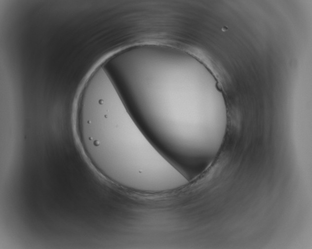 X0000102411147200808011011