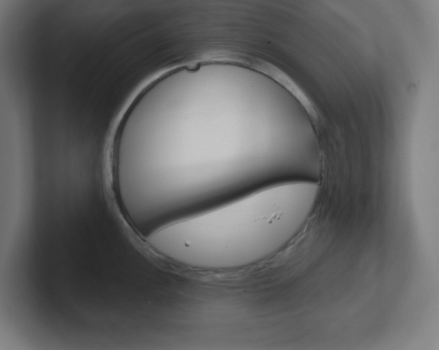 X0000102411148200808011011