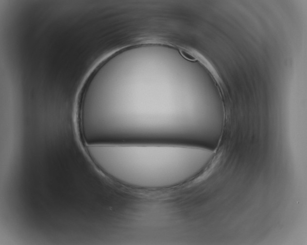 X0000102411149200808011011