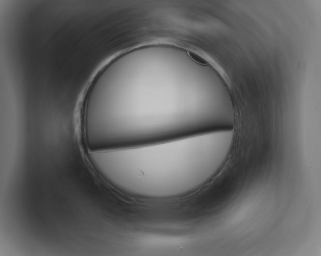X0000102411151200808011011