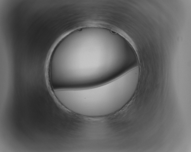 X0000102411152200808011011