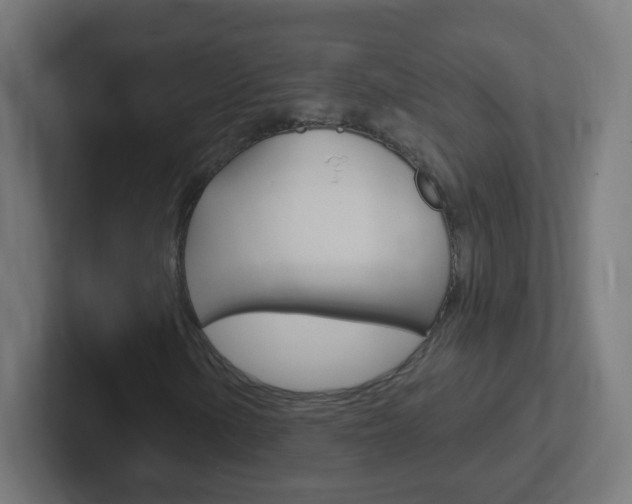 X0000102411154200808011010