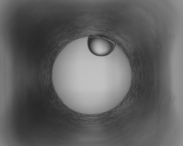 X0000102411157200808011010