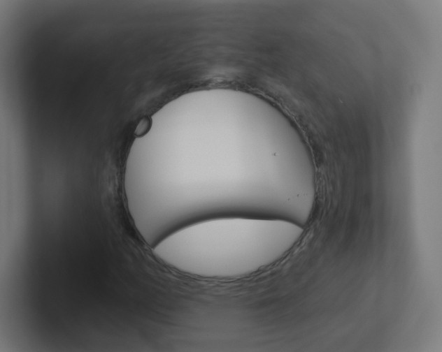 X0000102411158200808011010
