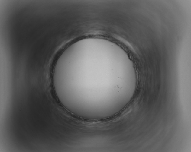 X0000102411160200808011010