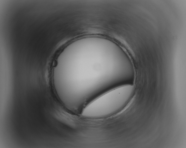 X0000102411163200808011010