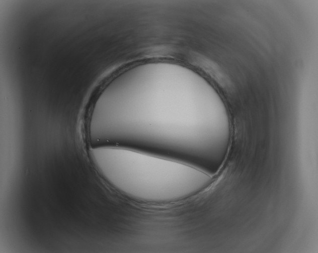 X0000102411164200808011010