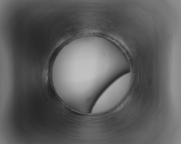 X0000102411165200808011010