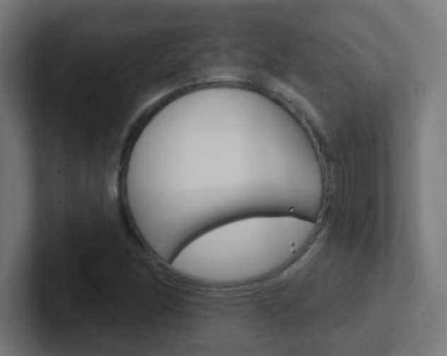 X0000102411166200808011010