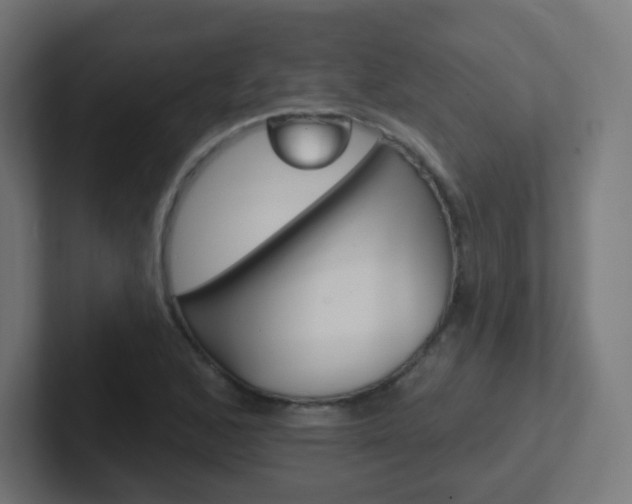 X0000102411168200808011010