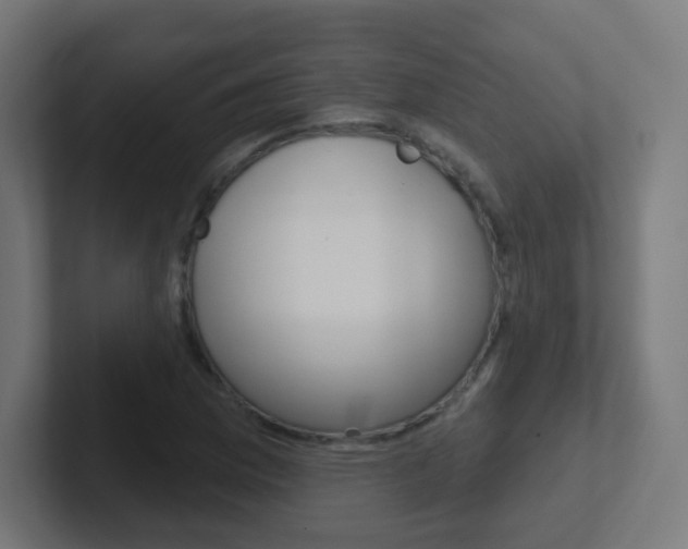 X0000102411169200808011010