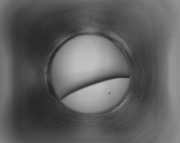 X0000102411170200808011010