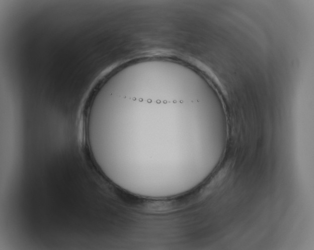 X0000102411171200808011010