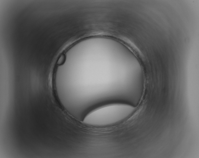 X0000102411173200808011010