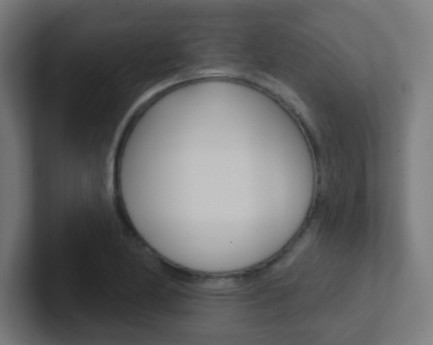 X0000102411174200808011010