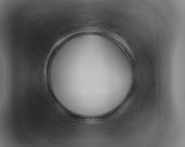 X0000102411176200808011010