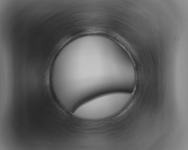 X0000102411177200808011010