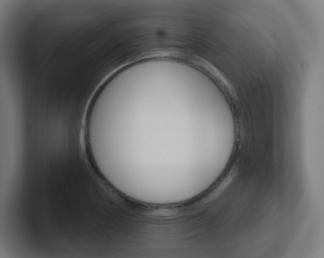 X0000102411178200808011010