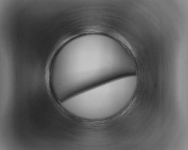 X0000102411179200808011010