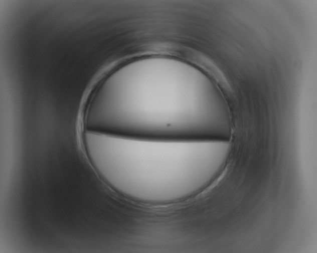 X0000102411180200808011010