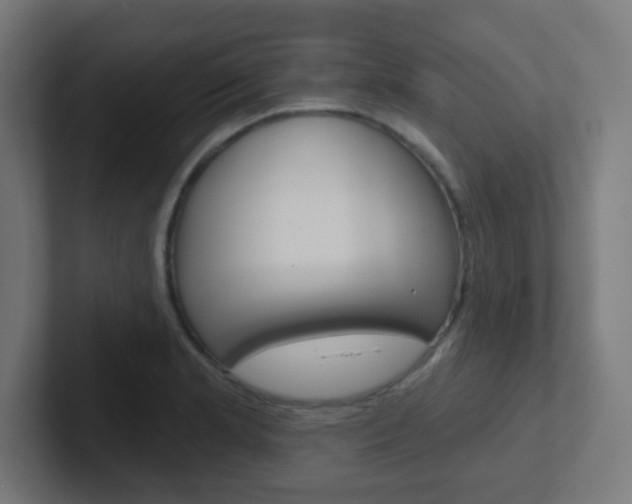 X0000102411181200808011010