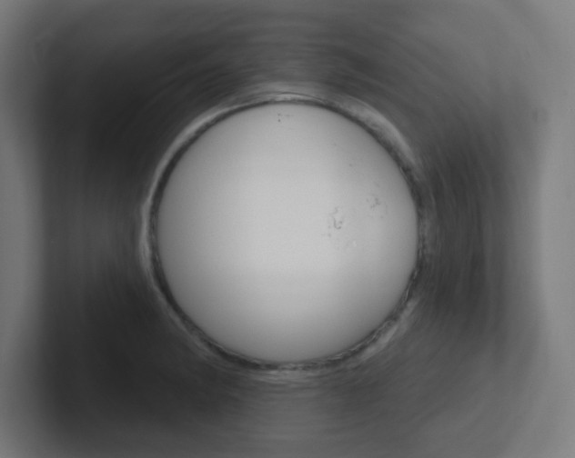 X0000102411182200808011010