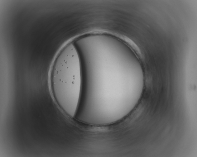 X0000102411183200808011010