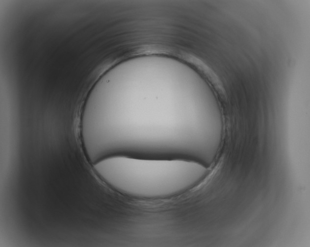 X0000102411185200808011010