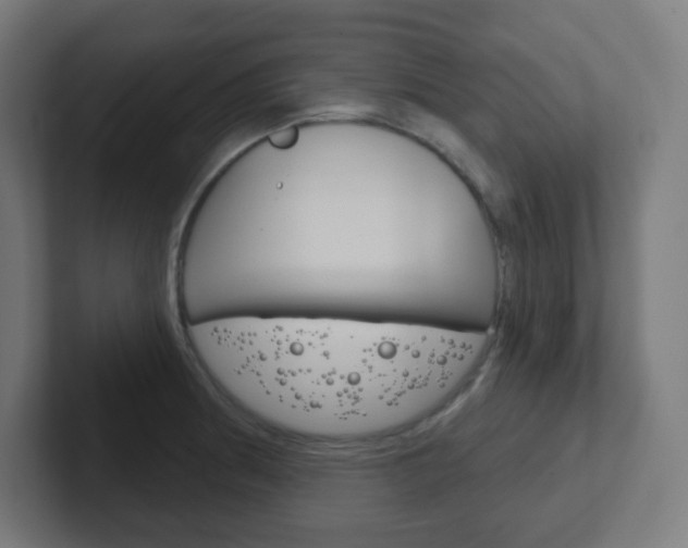 X0000102411186200808011010