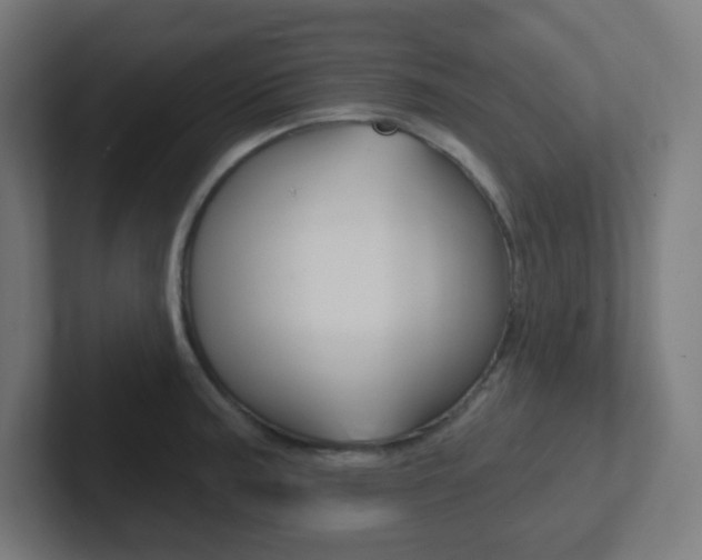 X0000102411187200808011010
