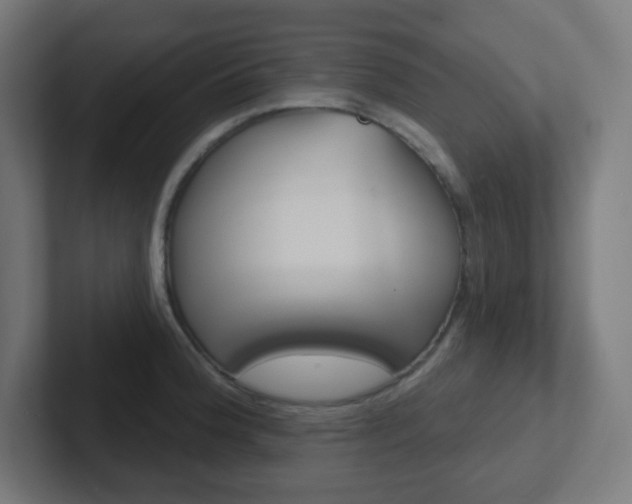 X0000102411188200808011010