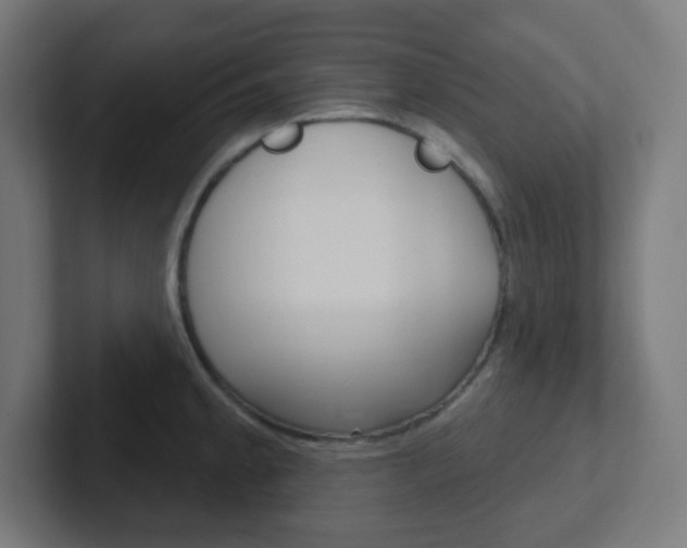 X0000102411189200808011010