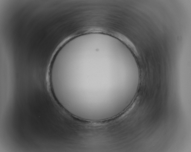 X0000102411190200808011010