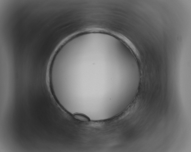 X0000102411191200808011010
