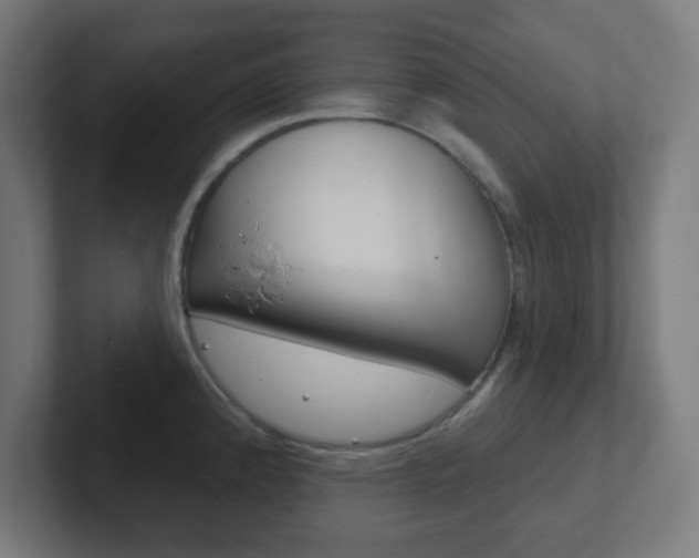 X0000102411192200808011010