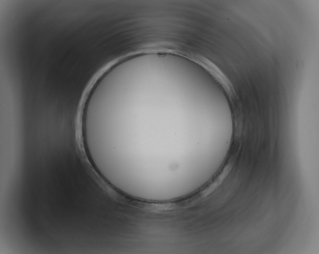 X0000102411196200808011010